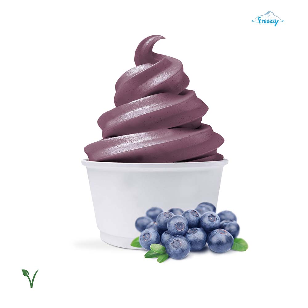 Freeezy Softeispulver Heidelbeere Vegan