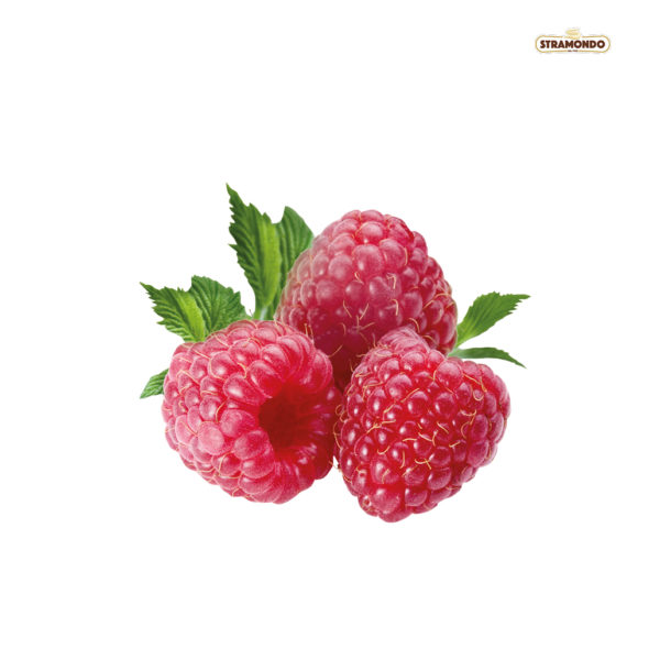 Stramondo Farci Raspberry Variegato