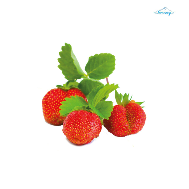 Freeezy Variegato Walderdbeere